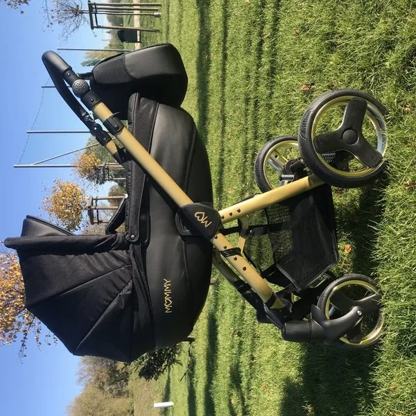 Gold Magic pram lifestyle photo 1